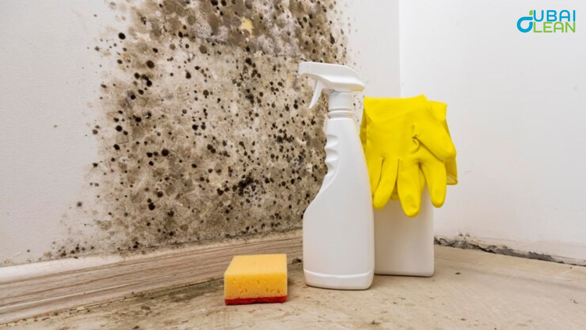  Mold Cleaning Dubai: Expert Techniques for Safe Removal