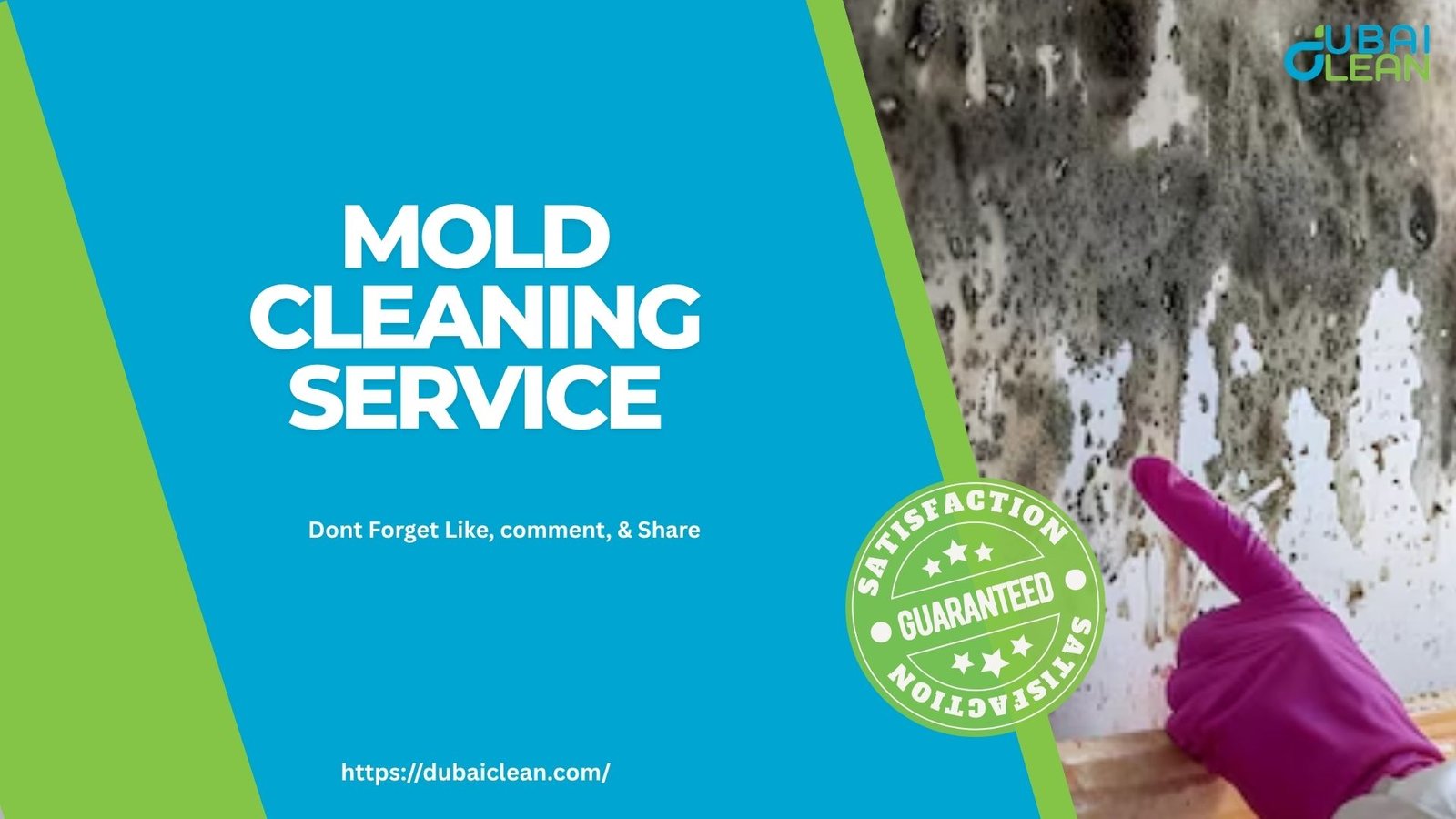 professional mold cleaning
