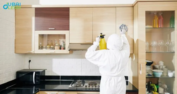 "Complete kitchen deep cleaning services for a healthier and spotless home environment."