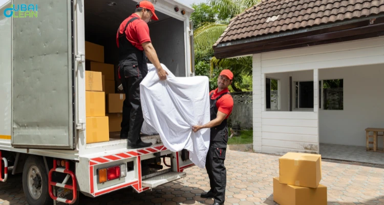 Professional team providing packing and moving services with labeled boxes and moving equipment
