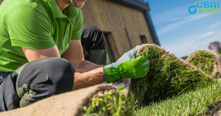 untitled design 2025 06 28t123431.785