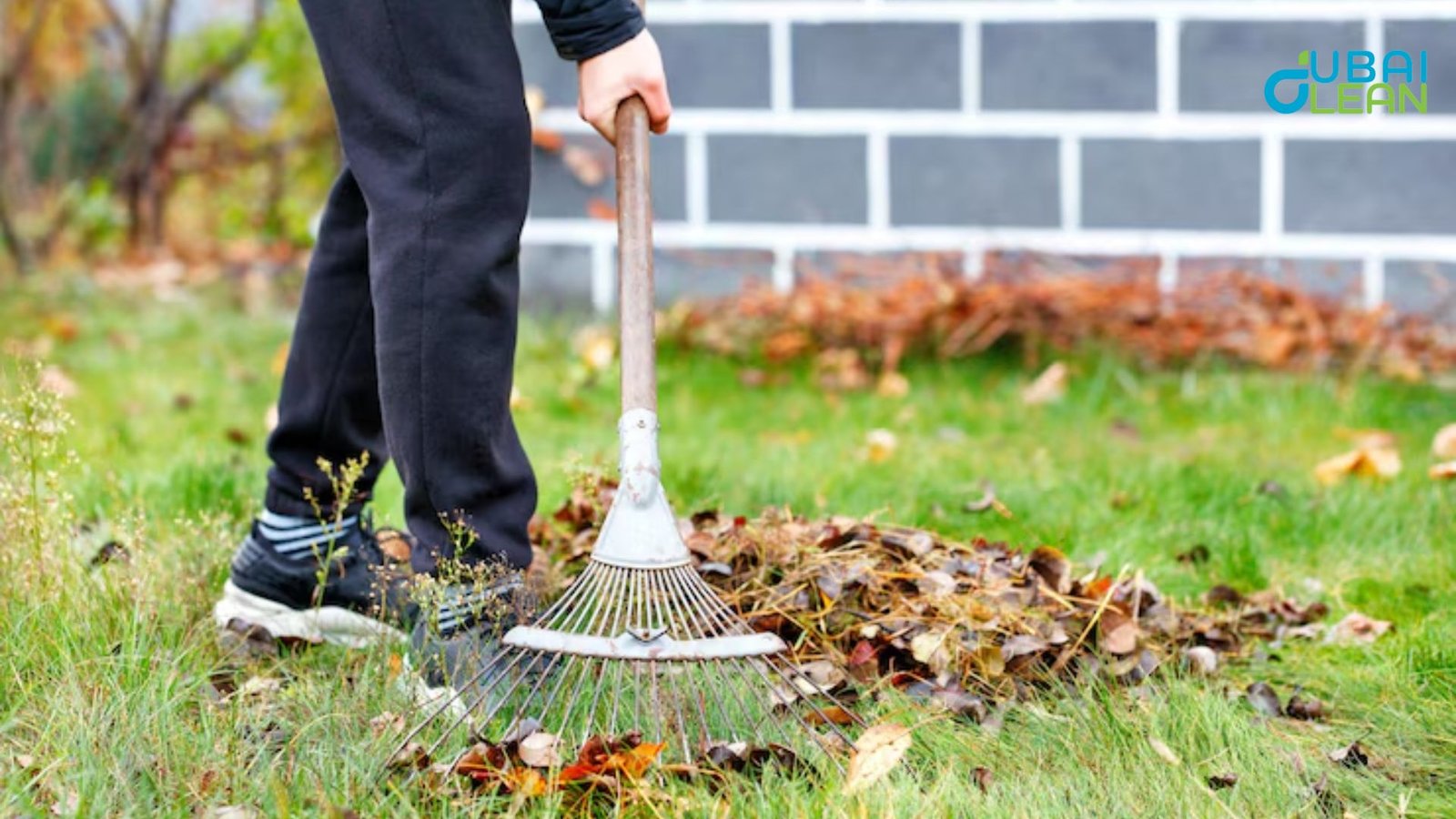 Clean Your Garden tiles: A Fresh Start for Your Outdoor Space