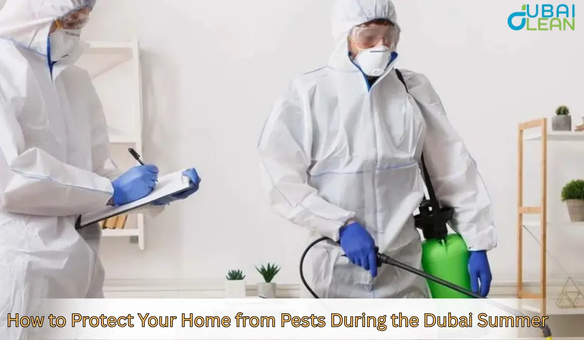 How to Protect Your Home from Pests During the Dubai Summer