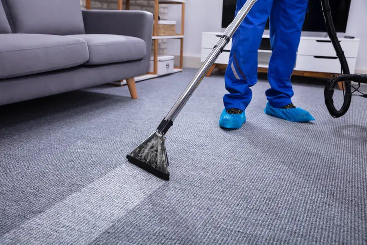 Deep cleaning of the carpet