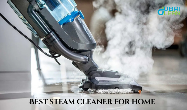 what is the best steam cleaner for home