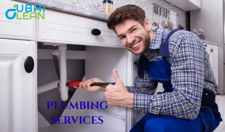 Plumbing services