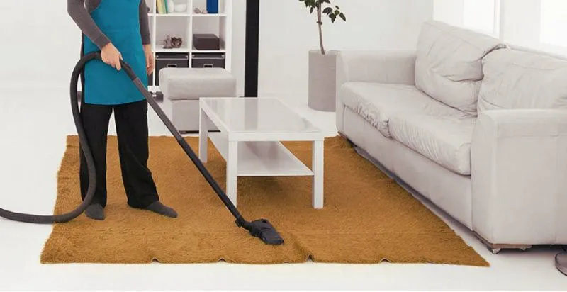 how to clean mold from carpet​