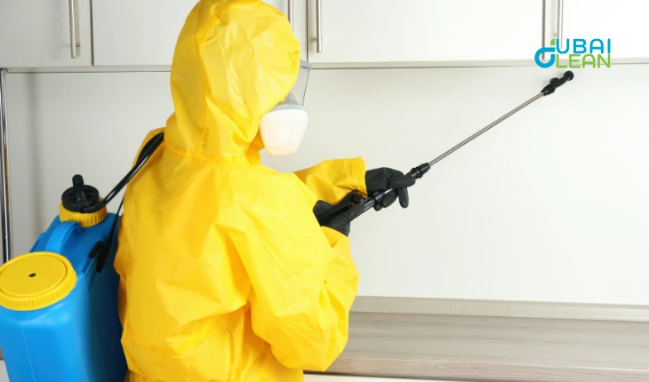 can pest cleaning services in dubai prevent recurrence