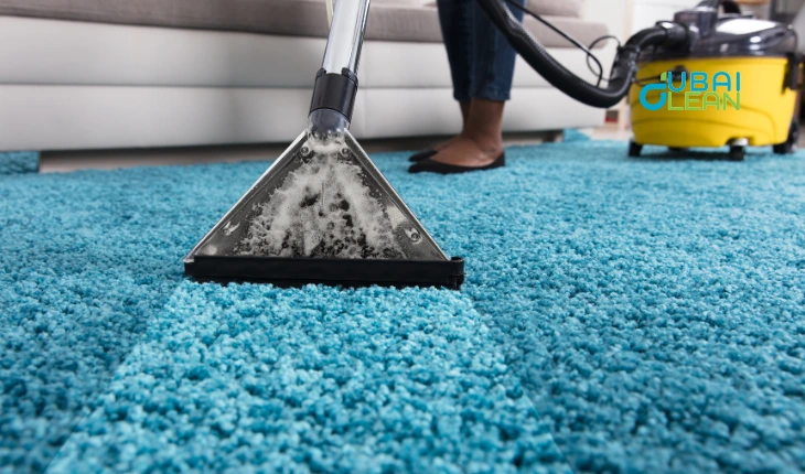 Professional Carpet Cleaning Tips for a Healthy Home