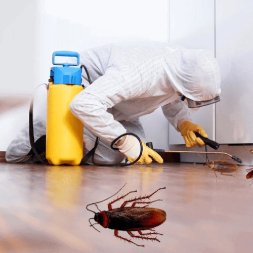 cockroach control dubai