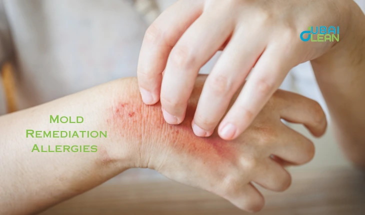 how mold remediation allergies affect your health in dubai