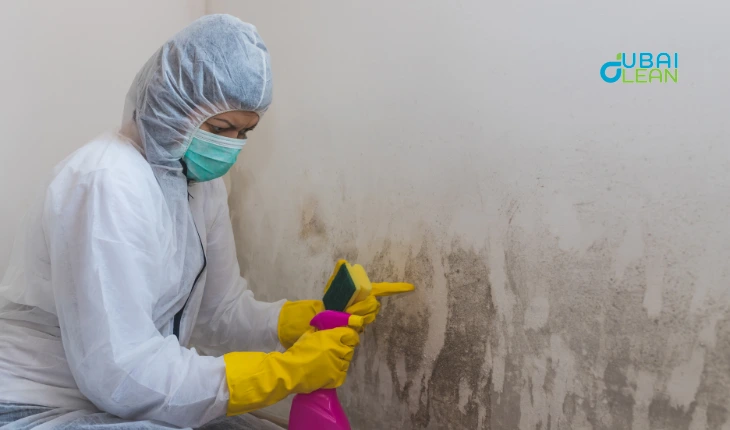 Is It Safe To Clean Black Mold Yourself? | Dubai Clean