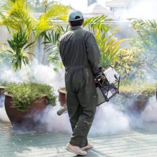 mosquito control dubai