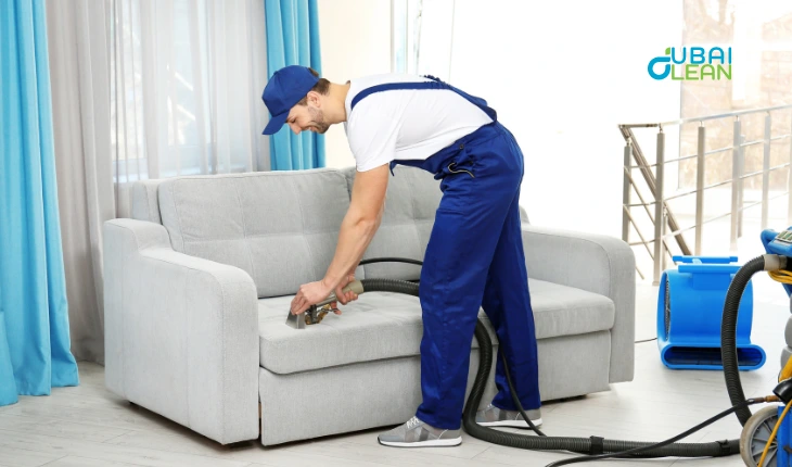 non organic sofa cleaning