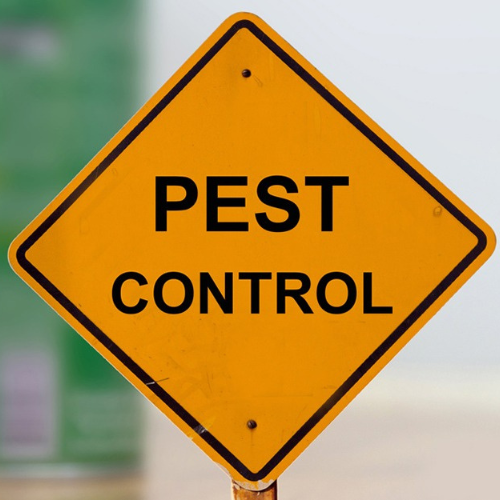 pest control dubai