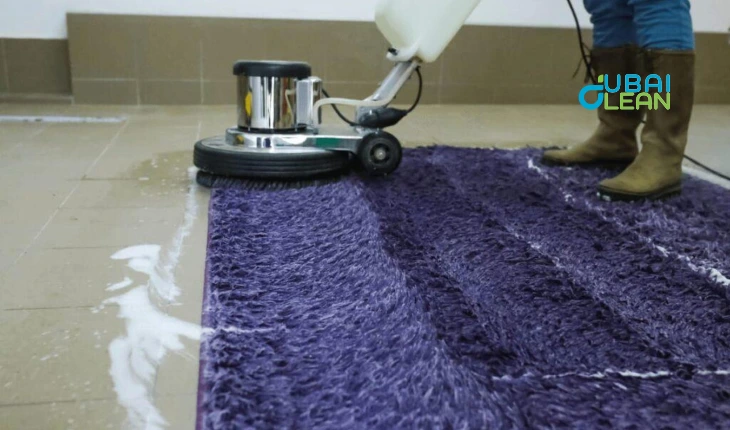 Professional Carpet Cleaning Tips for a Healthy Home