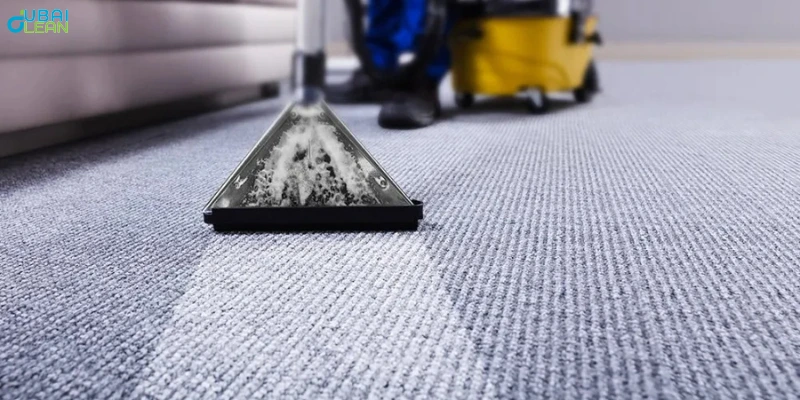 untitled design 2025 07 04t145707.741