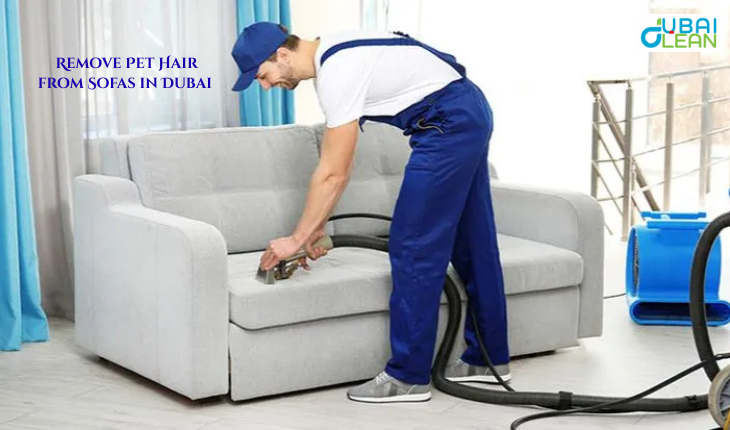 Remove Pet Hair from Sofas in Dubai