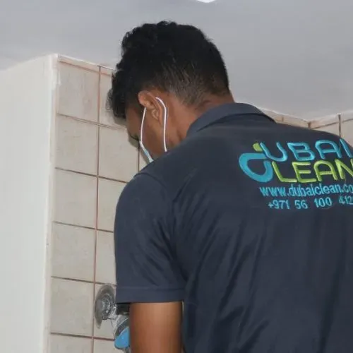 regrout and seal shower 2 dcs