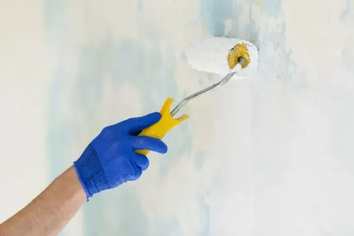 apartment antifungal wall painting service dusiness bay dcs