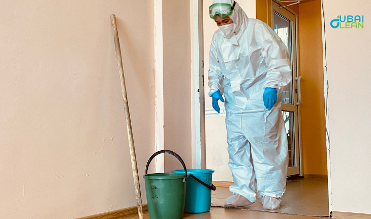 Eco-Friendly Organic Pest Control Services in Dubai