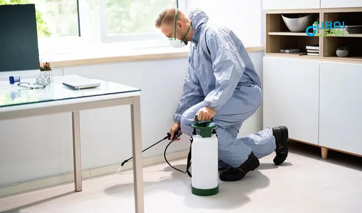 Same-Day Sofa Cleaning in Dubai