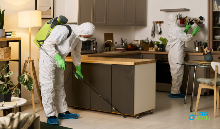 "Trusted Pest Control Providers in Dubai | Reliable & Safe"