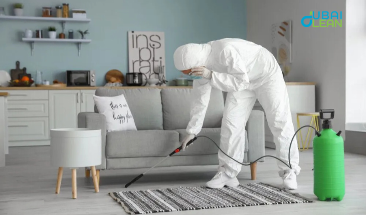 Reliable Pest Control Experts in Dubai