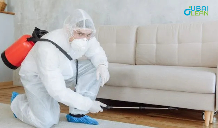 untitled design 2025 09 22t150519.890