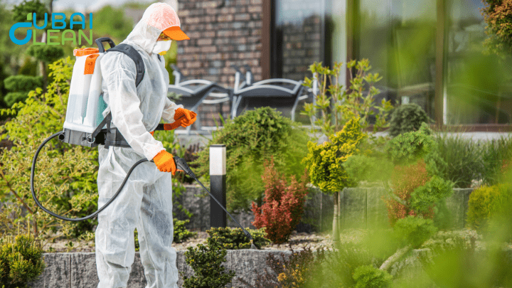 best methods of cockroach control in dubai