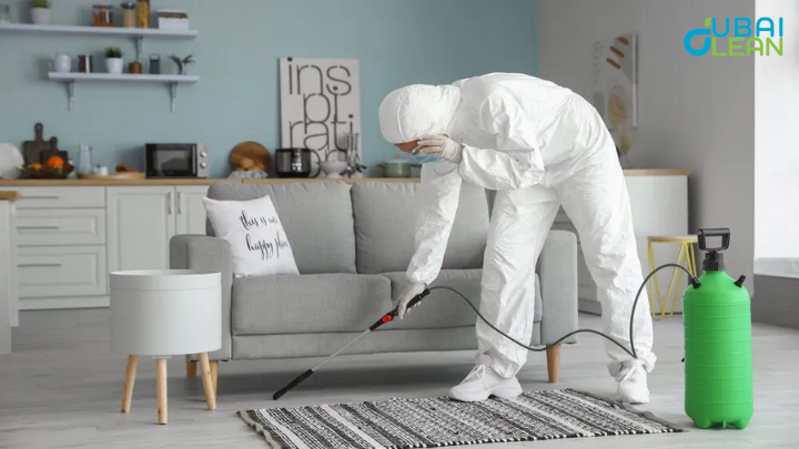 Pest Control & Cockroach Gel Guide | Benefits, Tips & Safety