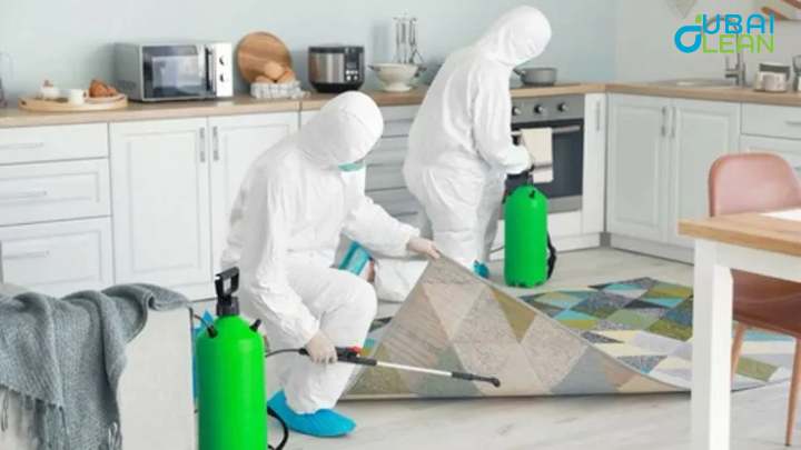 Expert Pest Control Services in Dubai – DubaiClean