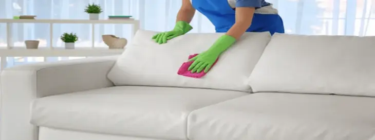 upholstery cleaning services dcs