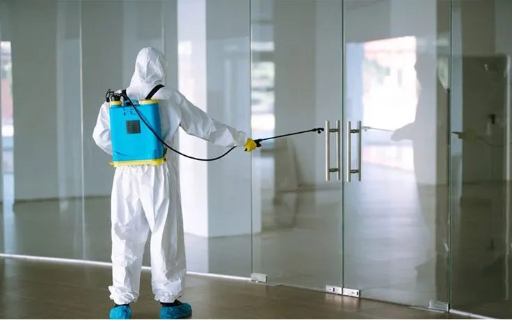 Office Pest Control Dubai – Safe & Effective Solutions