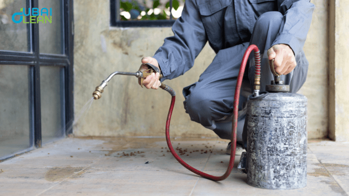 Mosquitoes and Ants Affect