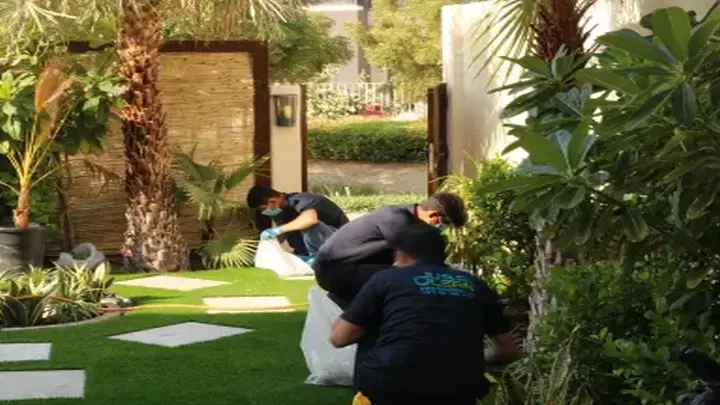dcs lawn cleaning service dubai