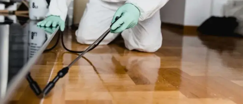 dcs pest control sharjah2