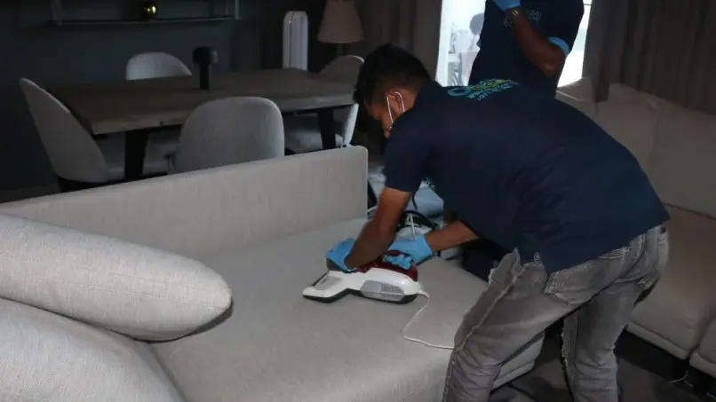 dcs sofa cleaning services sharjah2