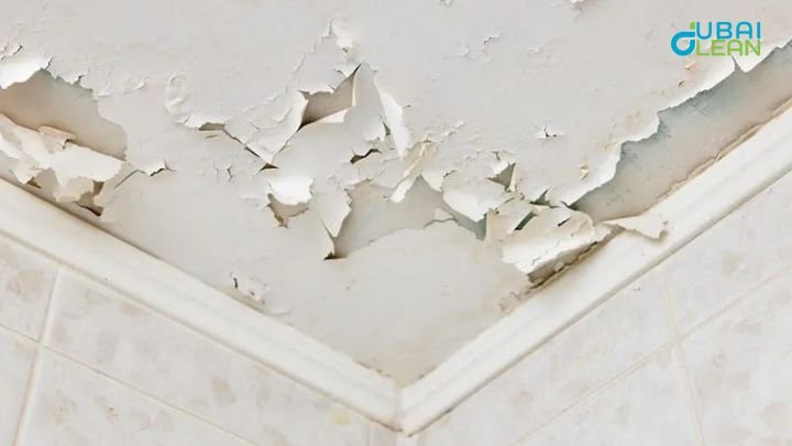 Faded interior colors