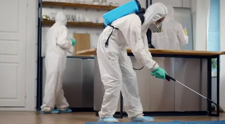 pest control al twar dcs