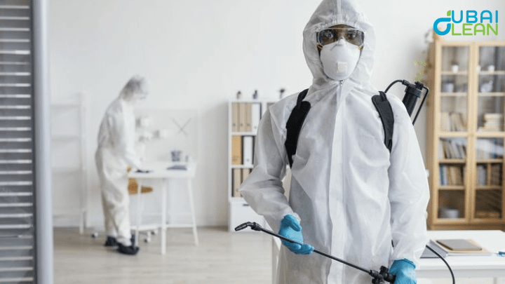 Pest Control Dubai