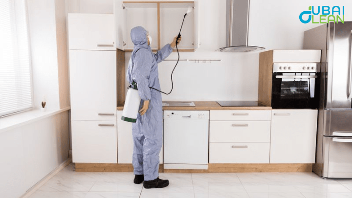 Professional Pest Control Dubai