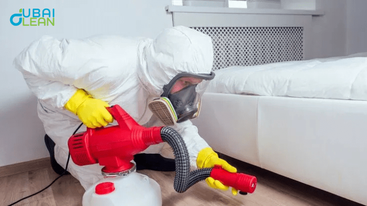 Bed Bugs Pest Control Dubai