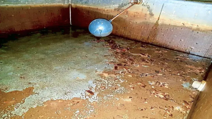 villa water tank cleaning al mizhar dcs