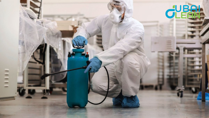 Cockroach Control in Dubai”