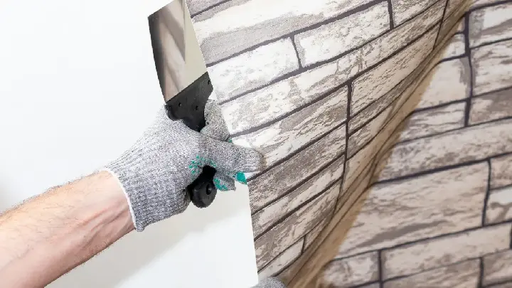 dcs professional wrapping services in dubai