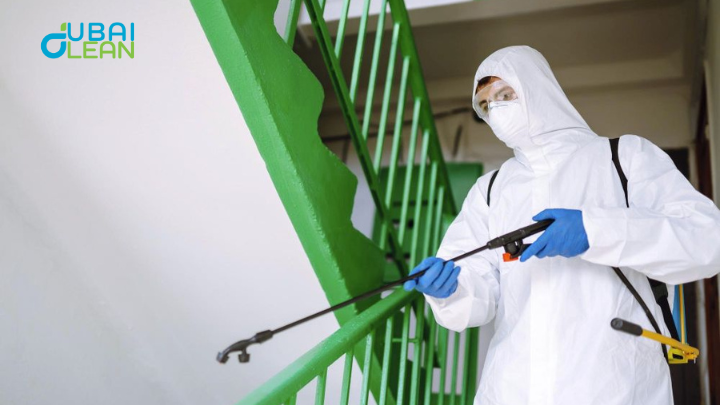 Pest infestation problems in Creek Rise Dubai