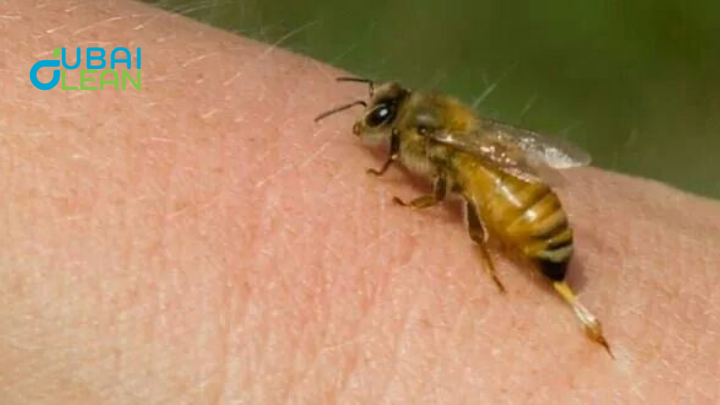  pest bite skin reaction (1)